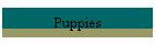 Puppies