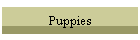Puppies