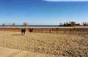 Beaches-herfst.jpg (4411 bytes)